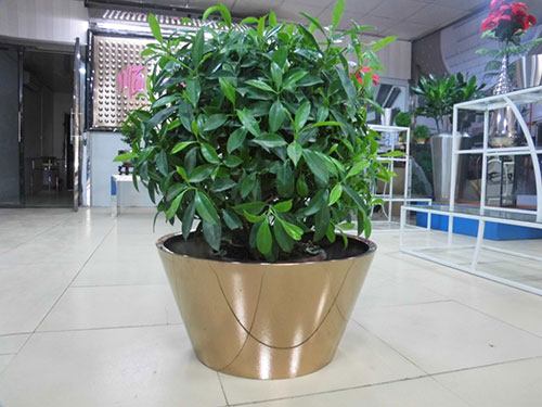 广东汕头不锈钢花盆哪家做的好?